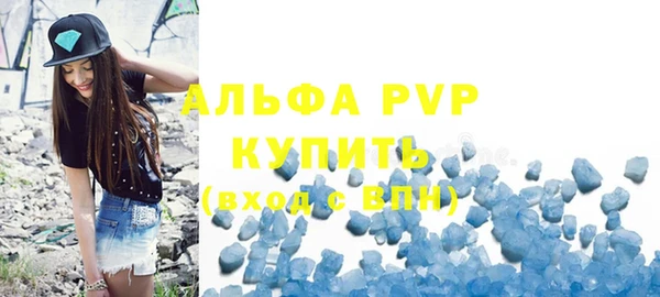 шишки Аркадак