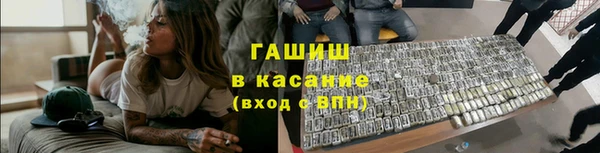 шишки Аркадак