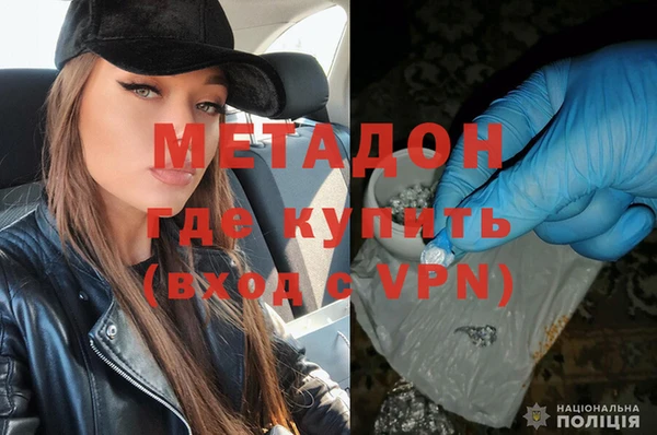 шишки Аркадак