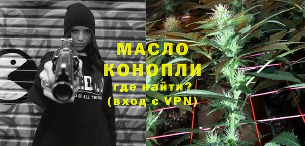шишки Аркадак