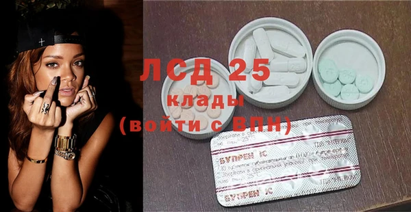 шишки Аркадак