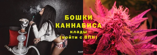 шишки Аркадак