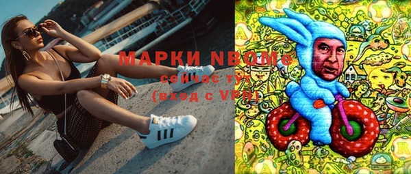 шишки Аркадак
