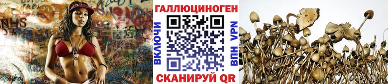 Псилоцибиновые грибы ЛСД Ульяновск